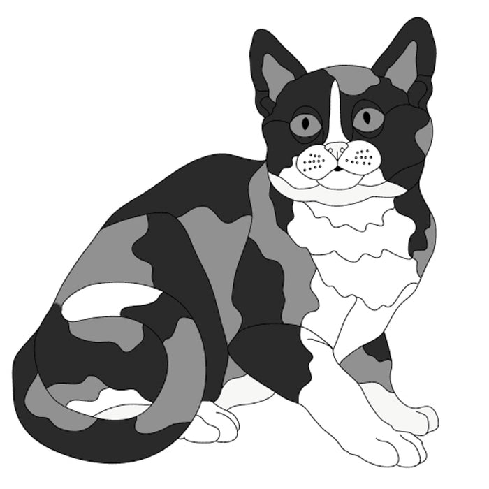 Calico Cat Sitting (new revised)