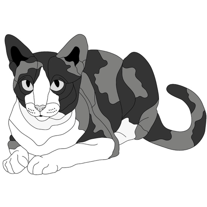 Calico Cat Lying (new revised)