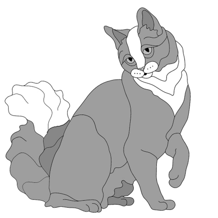 Longhaired Cat Sitting