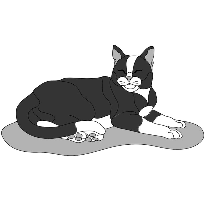 Black & White Cat Lying (New Revised)