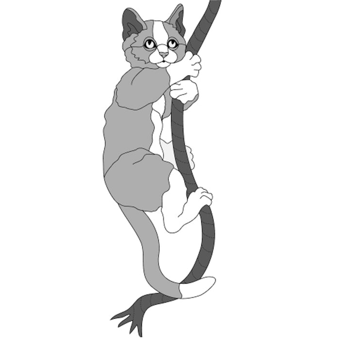 Cat on Rope