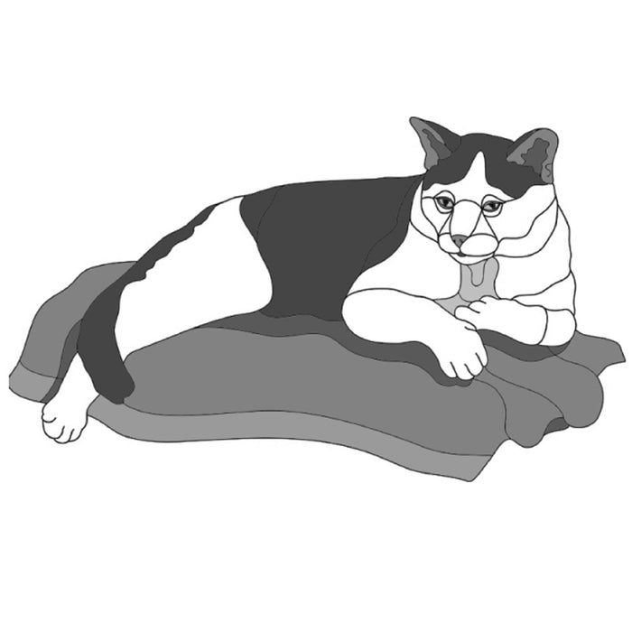Cat on Blanket (new revised)