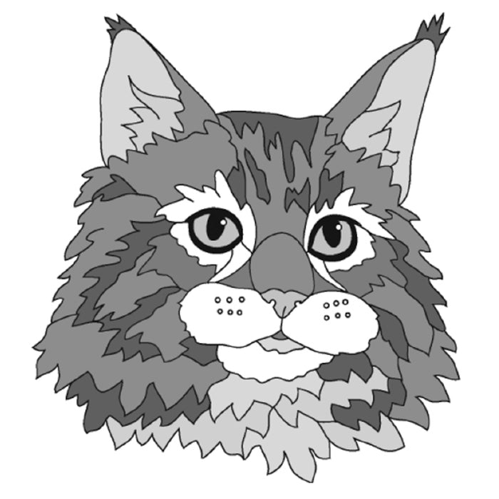 Maine Coon Cat Head