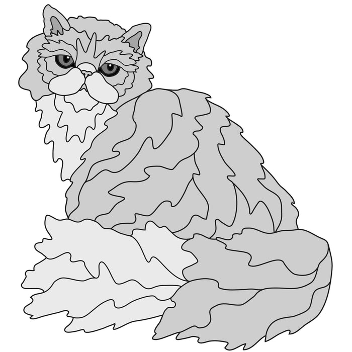 Persian Cat Sitting (New Revised)