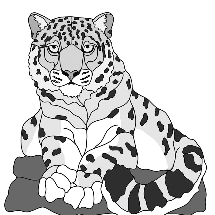 Snow Leopard