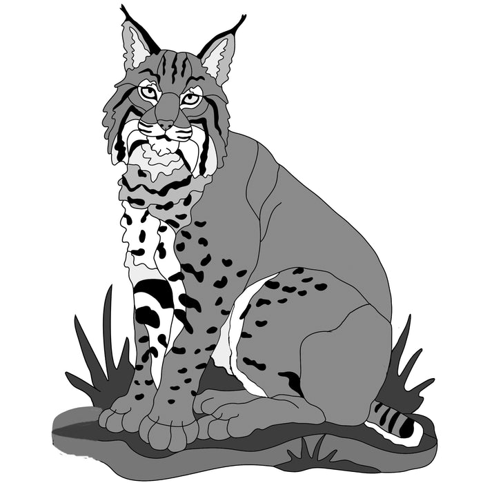 Sitting Bobcat