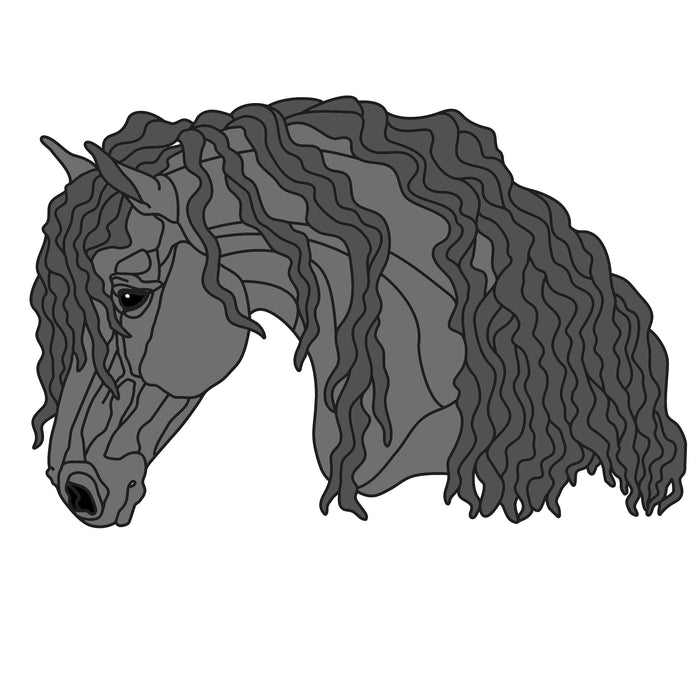 Friesian Horse Head