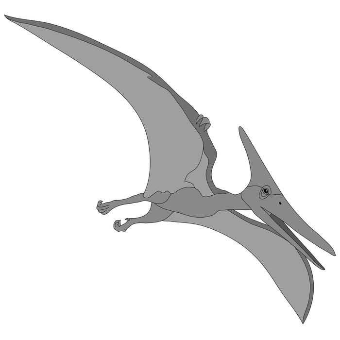 Pterodactyl Dinosaur
