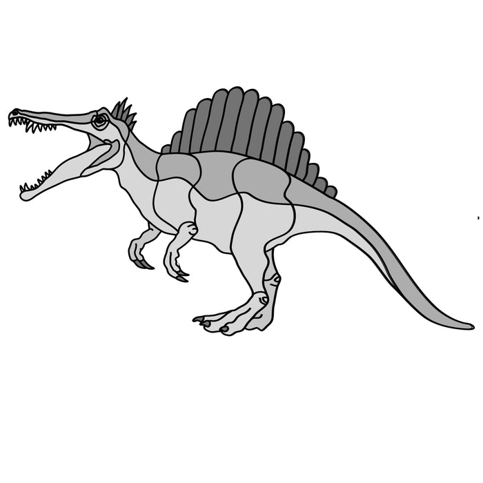 Spinosaurus Dinosaur