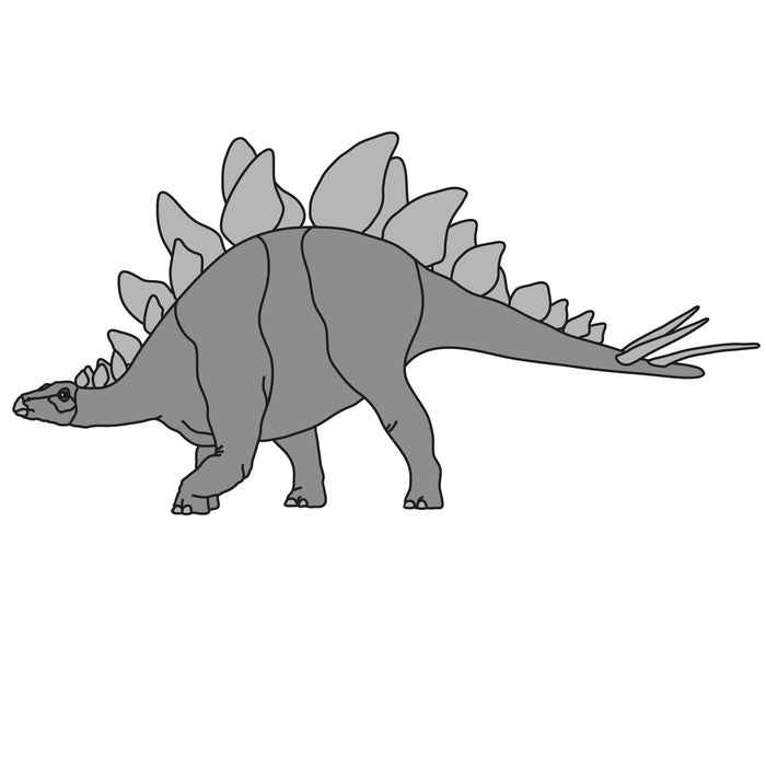 Stegosaurus Dinosaur