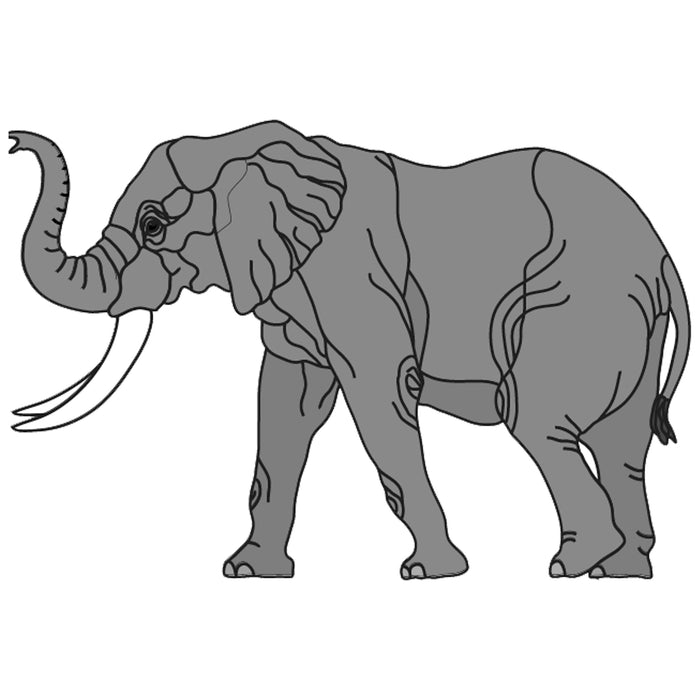 Bull African Elephant