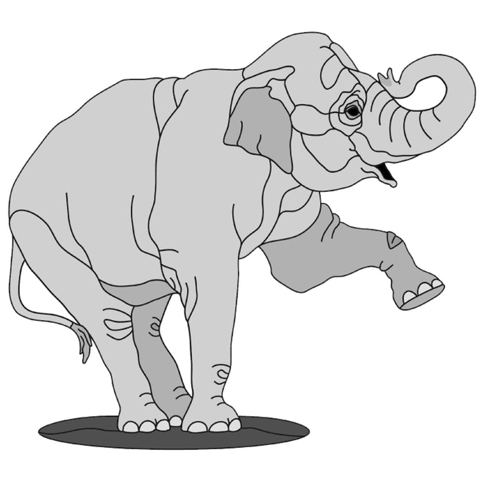 Indian Elephant