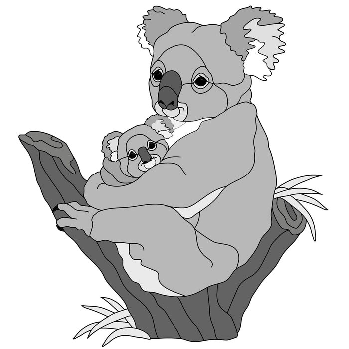 Koala