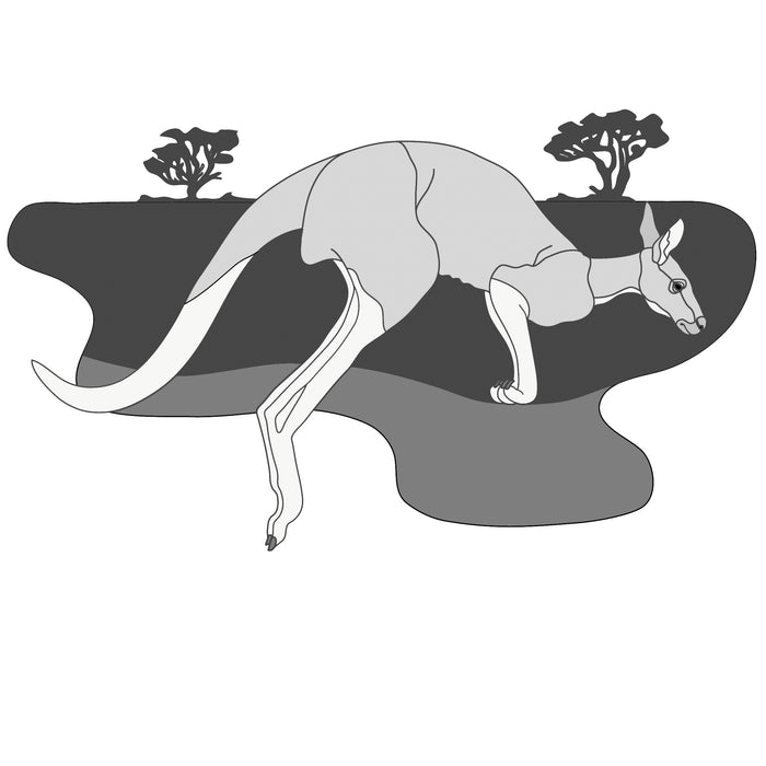 Red Kangaroo