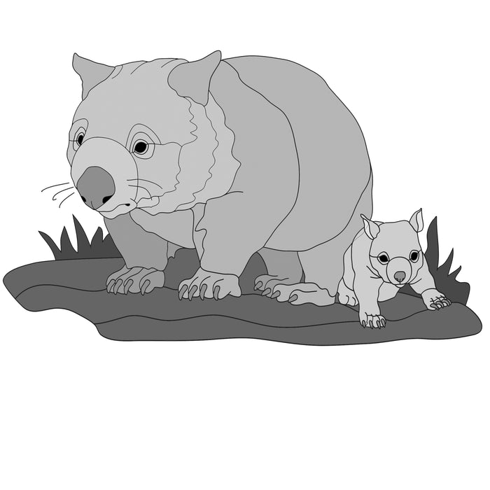 Wombat and baby