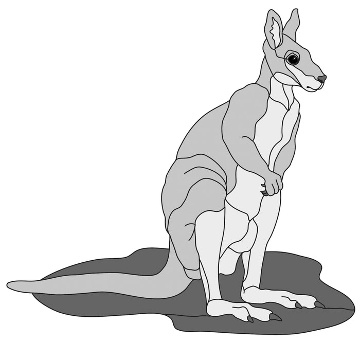 Wallaby