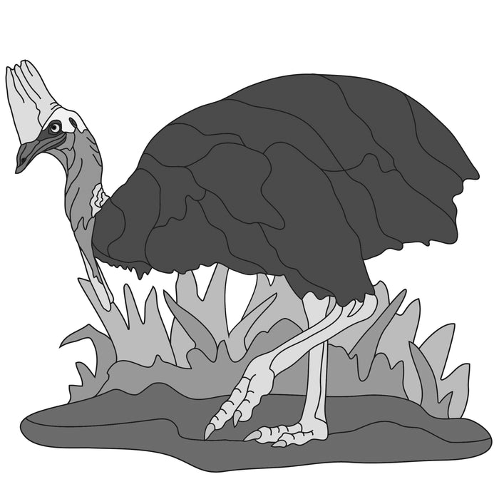 Cassowary