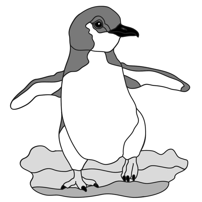 Fairy Blue Penguin