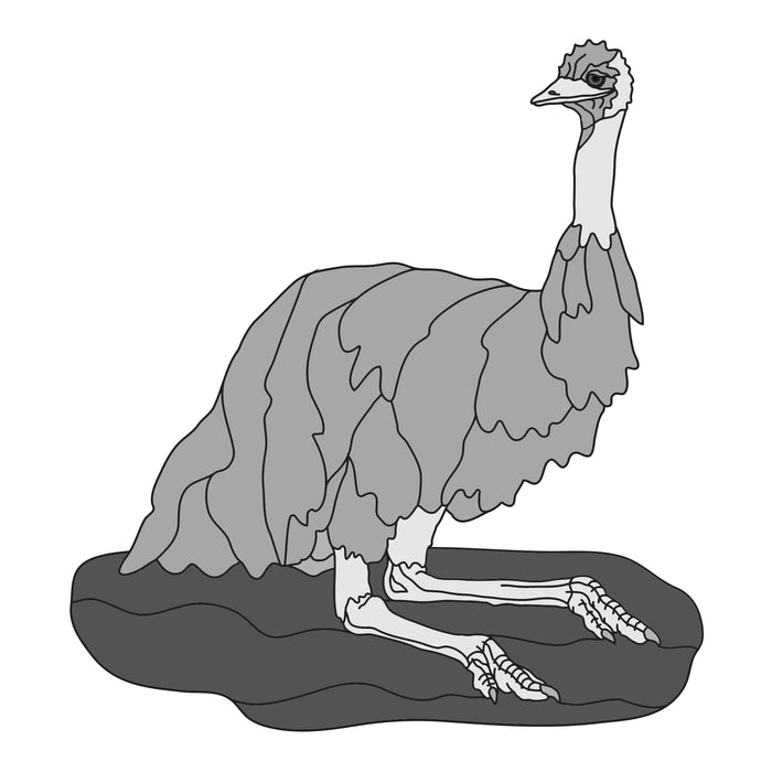 Emu