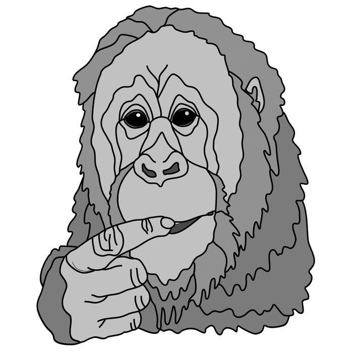 Orangutan