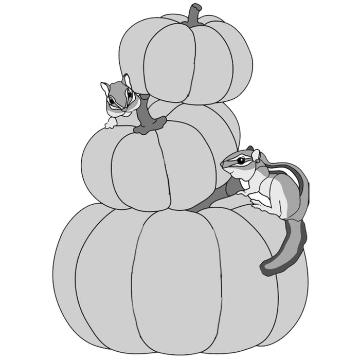 Chipmunk Fall Pumpkin