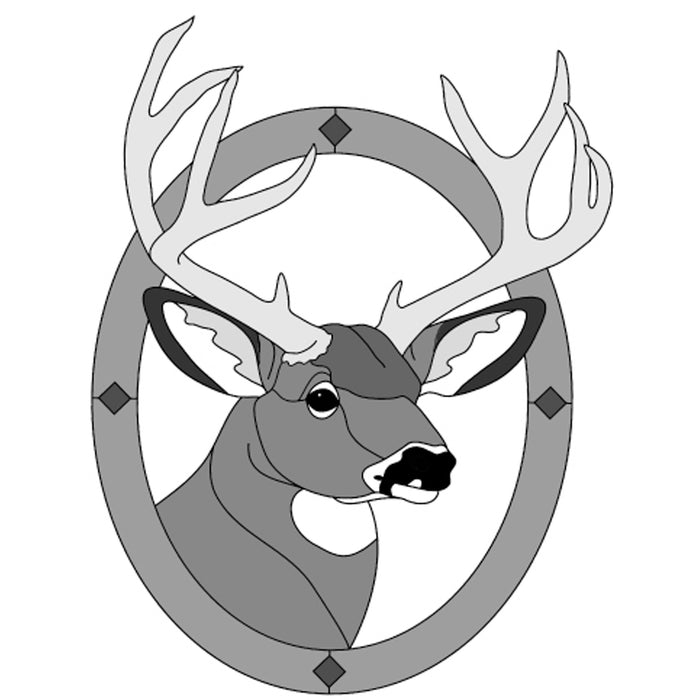 Mule Deer Head