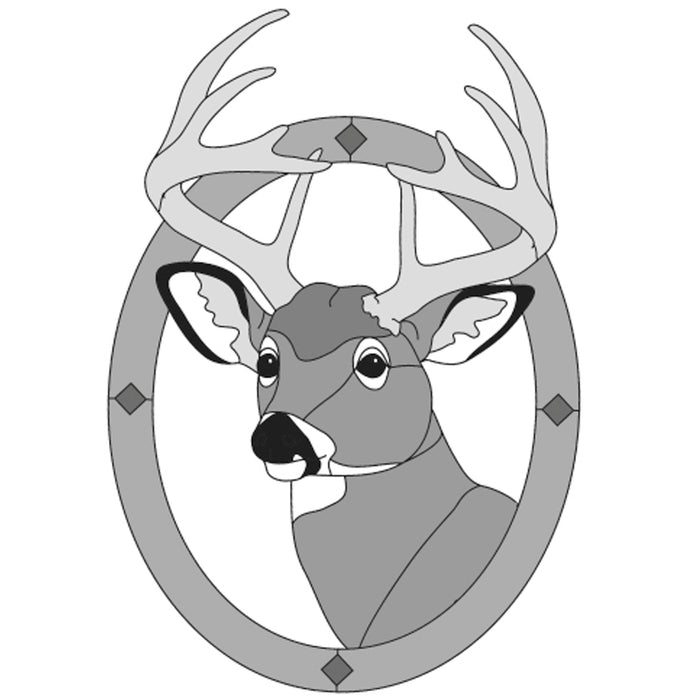 Whitetail Deer Head