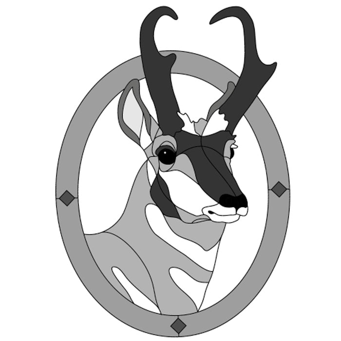 Pronghorn Head