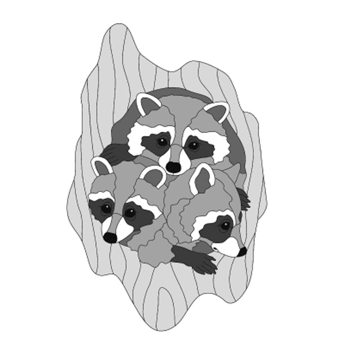 Raccoon Heads