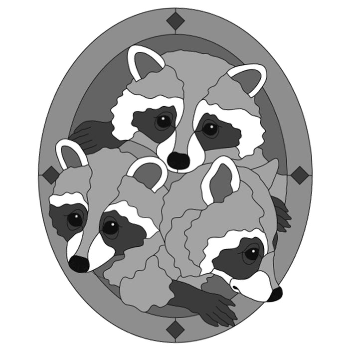 Raccoon Heads