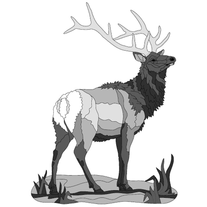 Elk Standing