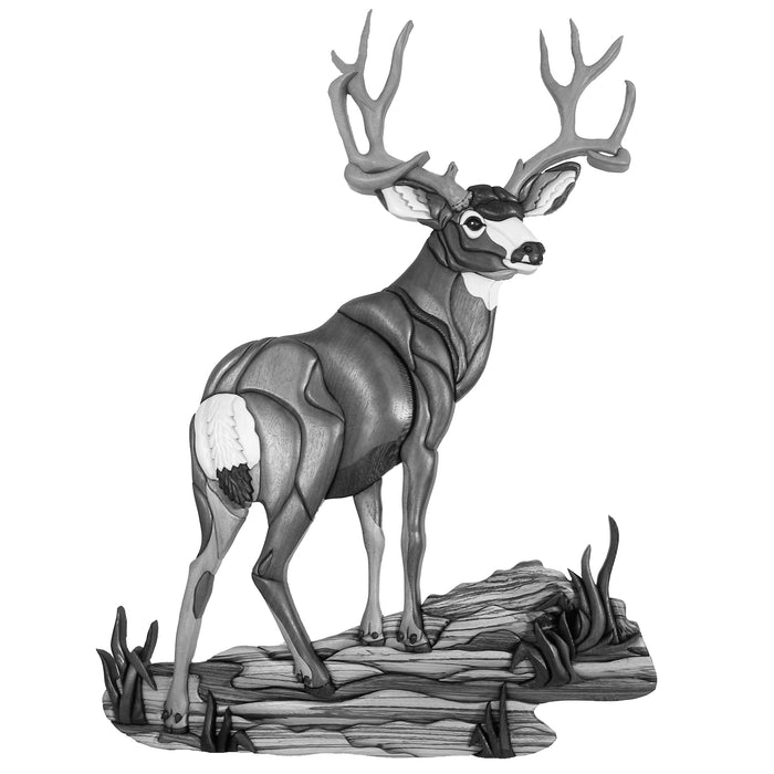 Mule Deer Standing