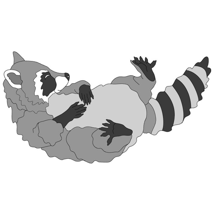 Raccoon Sleeping