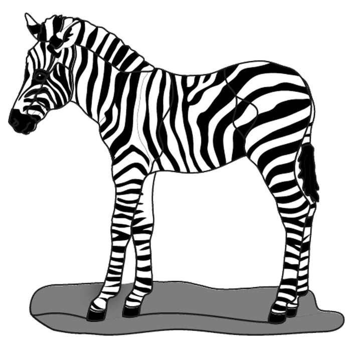 Zebra Colt
