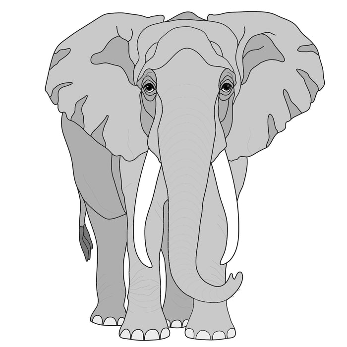 Elephant and Baby #2