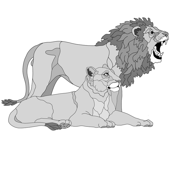 Lion & Lioness