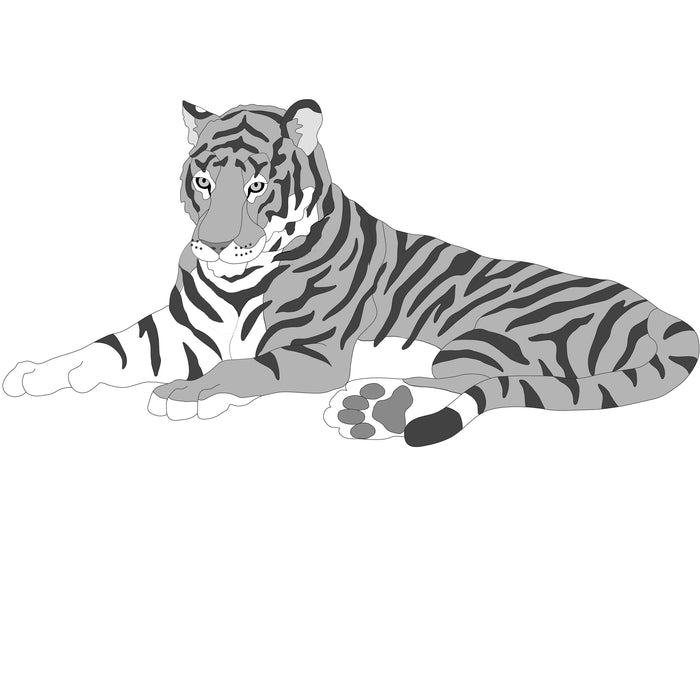 Tiger Lying #2