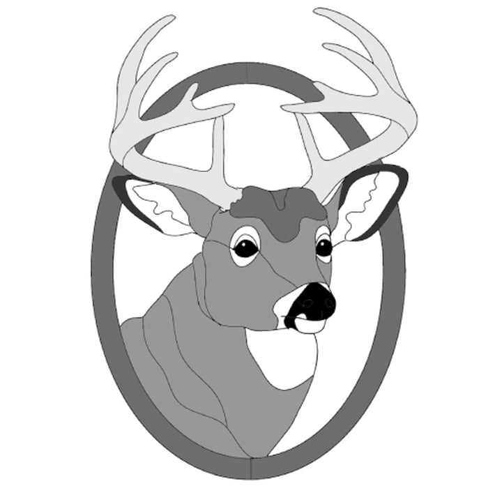 Whitetail Buck Head