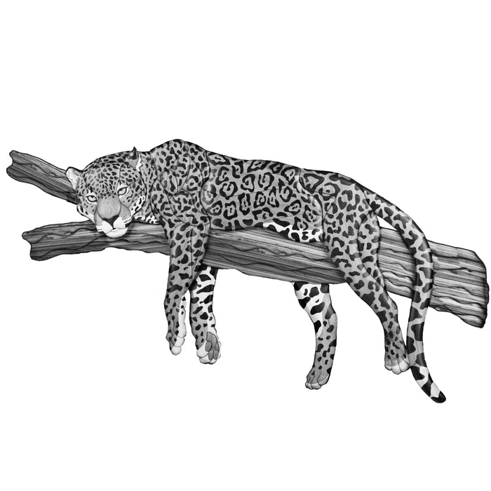 Jaguar on Branch