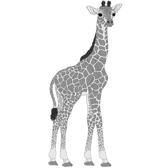 Giraffe Large and Extra Large