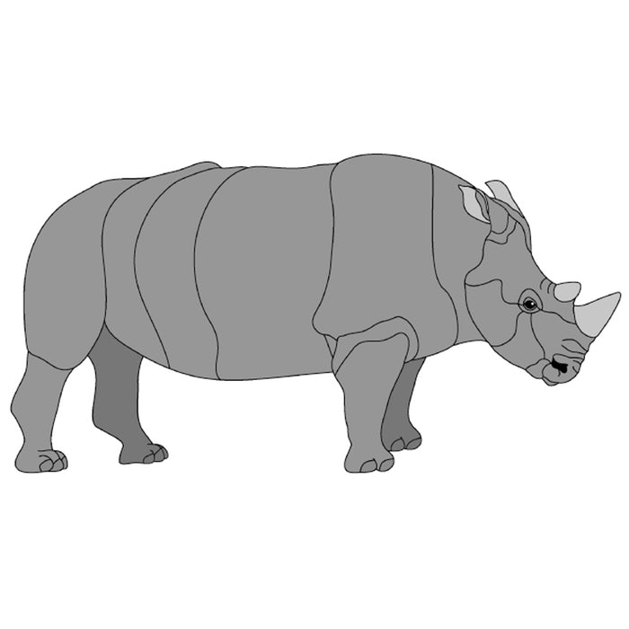 Rhino