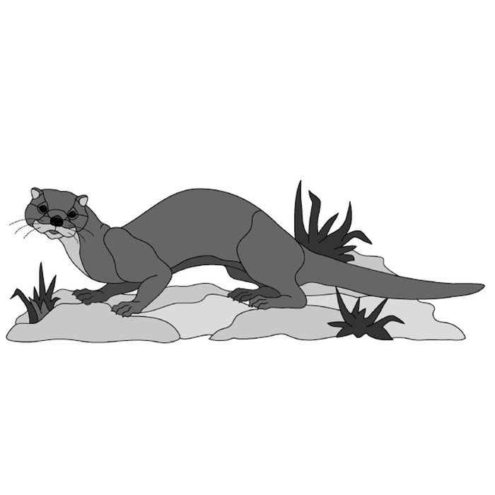 River Otter