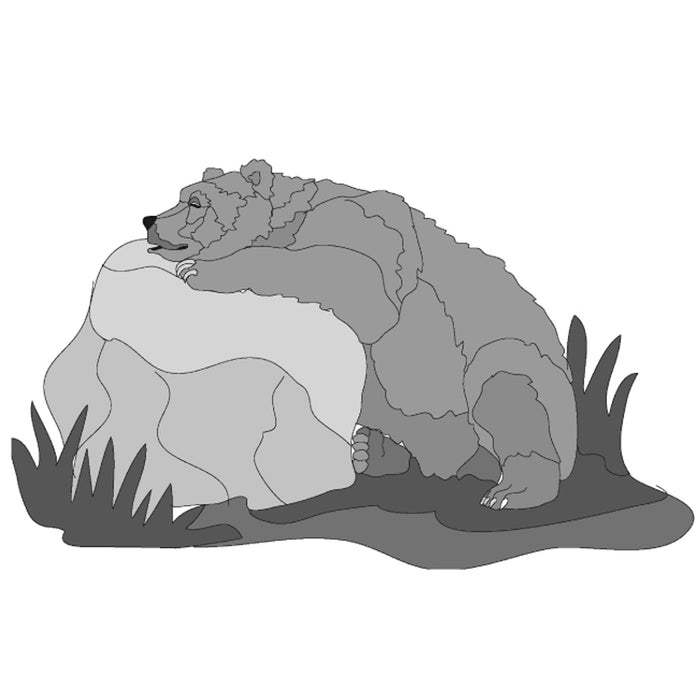 Sleeping Grizzly Bear