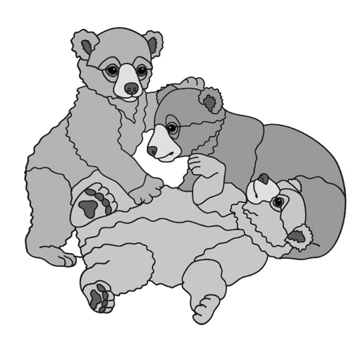 Three Bear Cubs