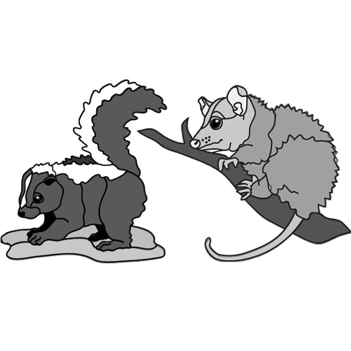 Skunk & Possum Babies