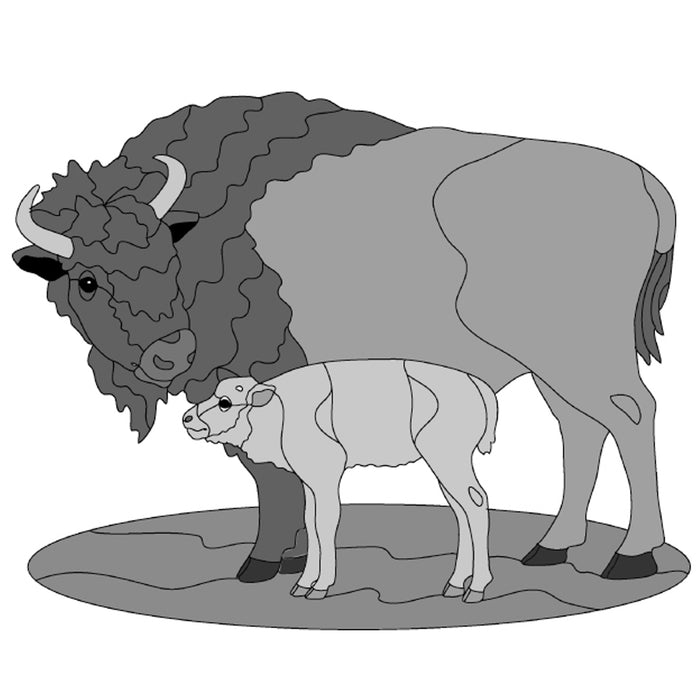 Bison and Baby