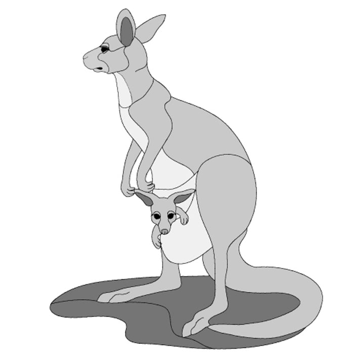 Kangaroo and Baby