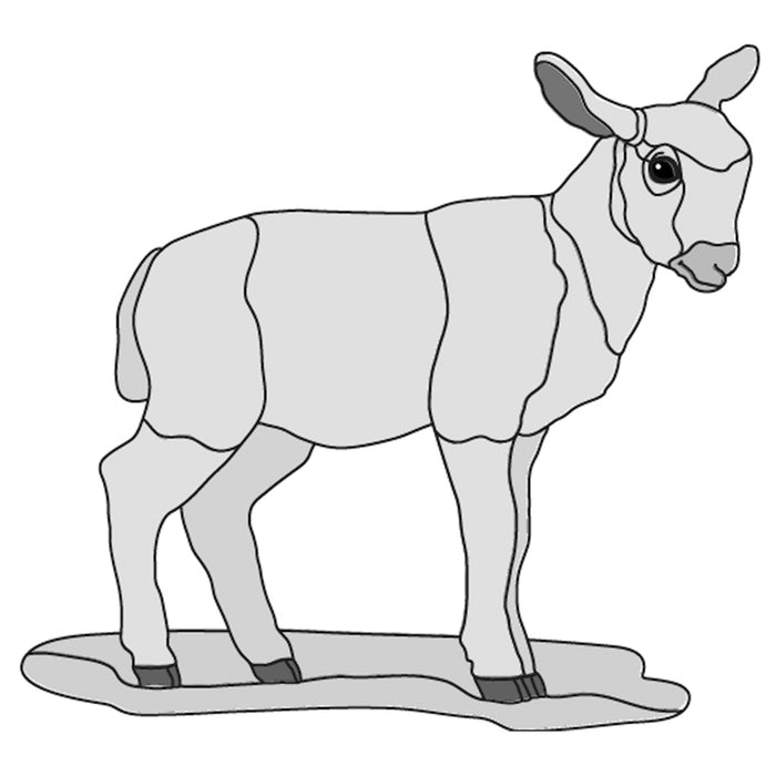 Spring Lamb