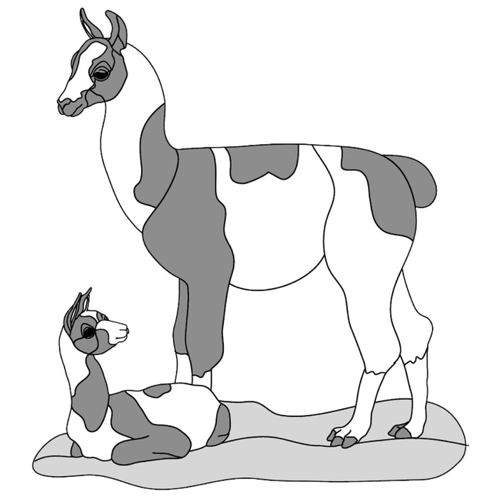 Llama & Baby