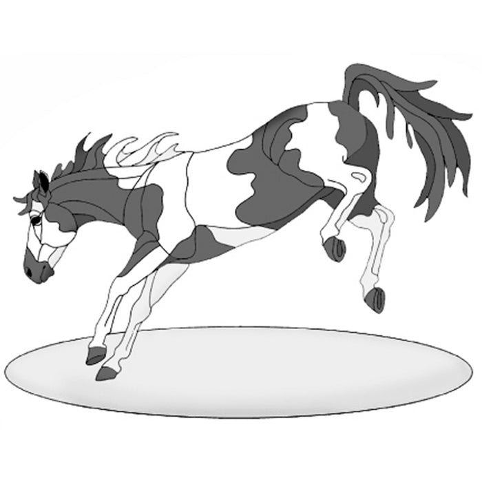 Bucking Paint Horse